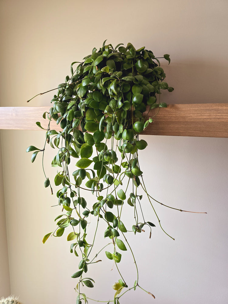 Floating Shelf